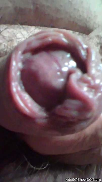 Photo of a phallus from Ade59