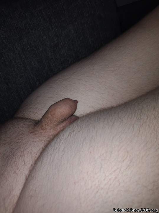 What a tiny little cock