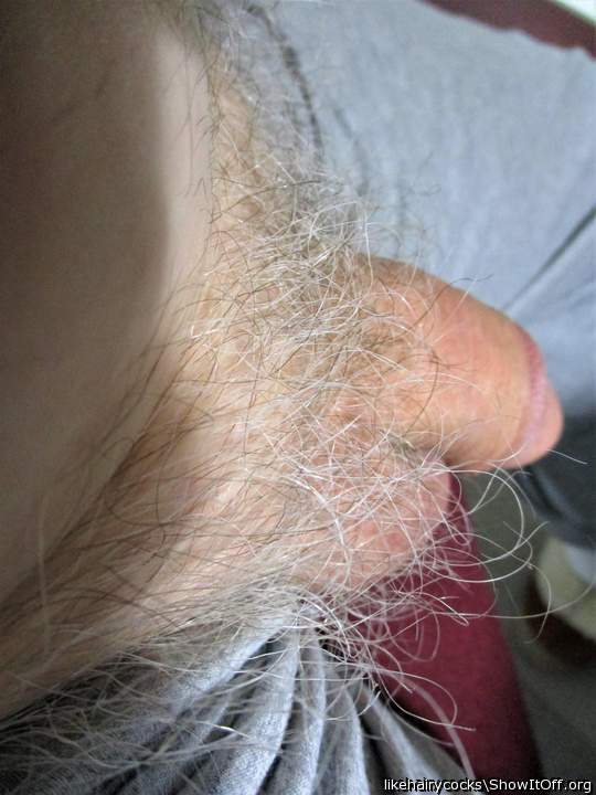 my hairy cock 5