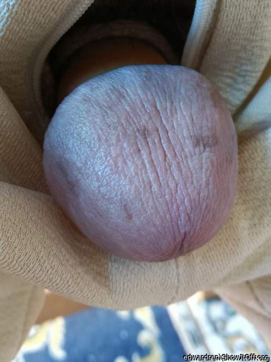 Photo of a pocket rocket from edwardren