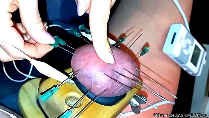 She love to play in my Testicles