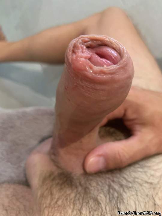 Photo of a middle leg from Franc0