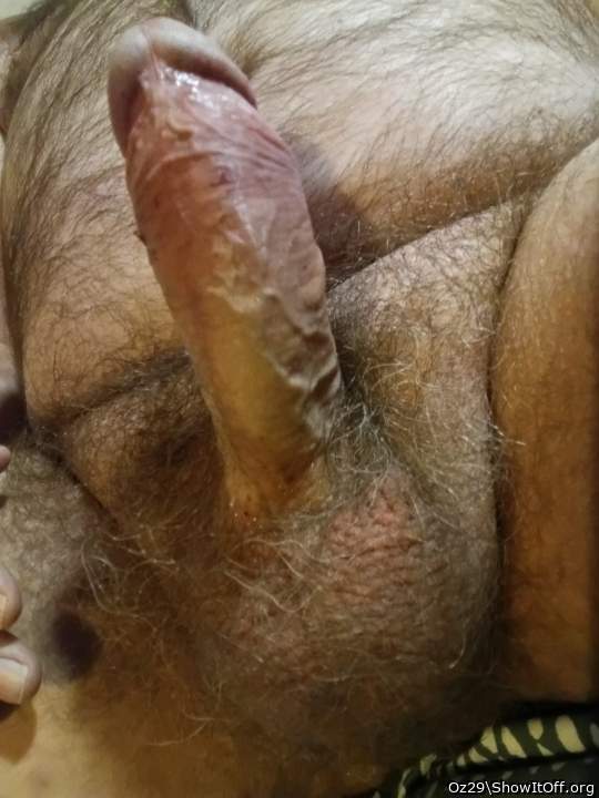 Photo of a prick from Oz29