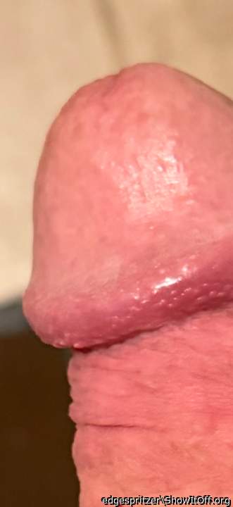 Photo of a weasel from edgespritzer