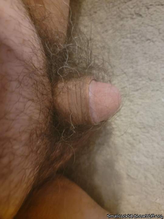 Photo of a schlong from Smallcock58