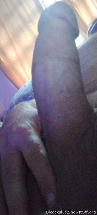 Photo of a snake from Bicockslut