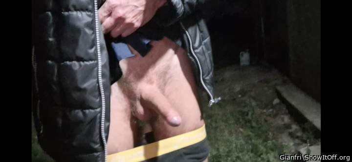 Photo of a weasel from Gianfri