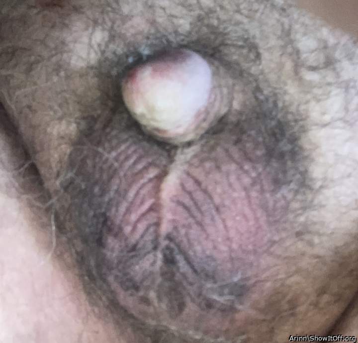 Photo of a equipment from Arinn