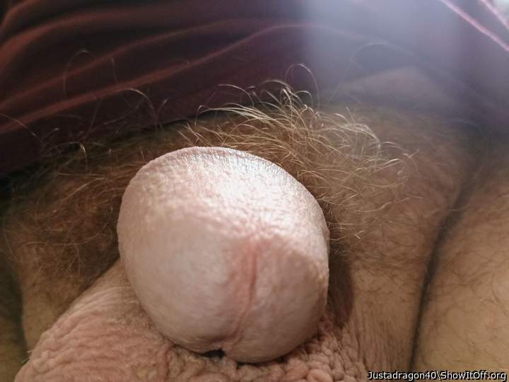 Photo of a power tool from Justadragon40