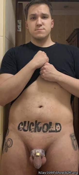 Cuckold Andrew in a chastity belt