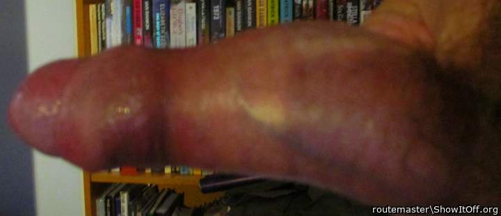 My early morning hard-on, 12.8.25