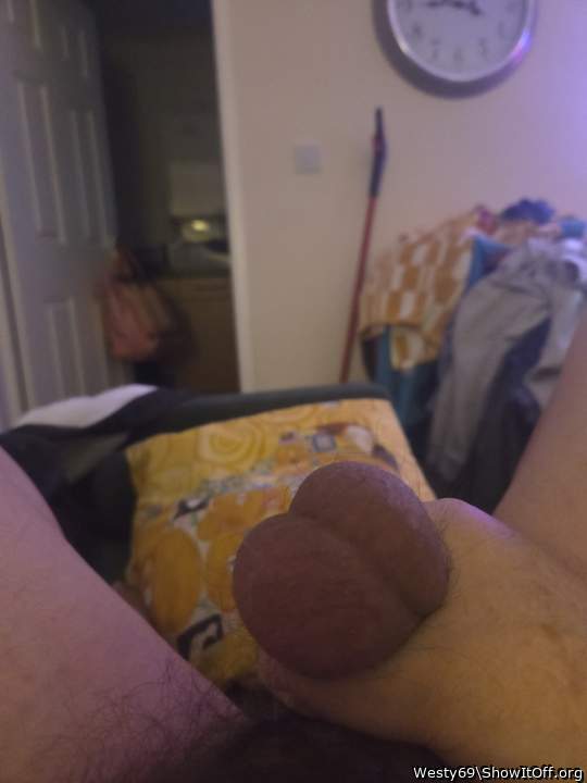 Testicles Photo from Westy69
