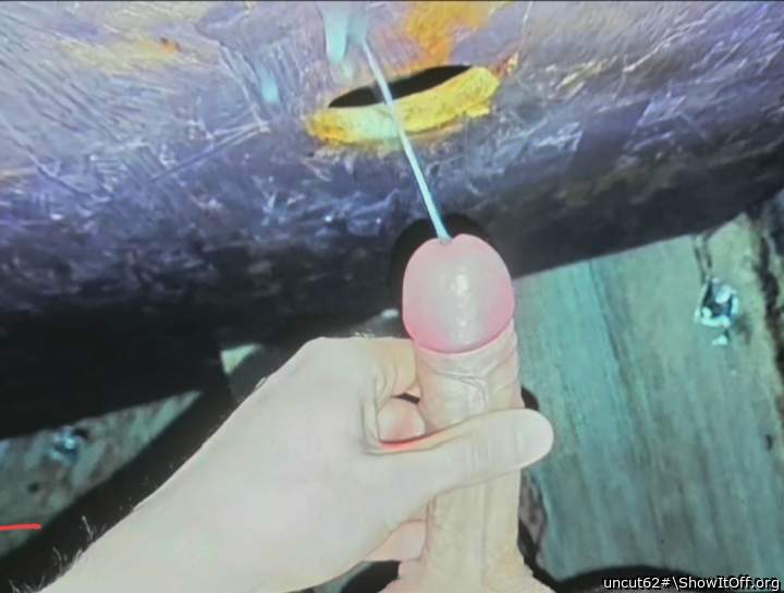 Photo of a third leg from uncut62#