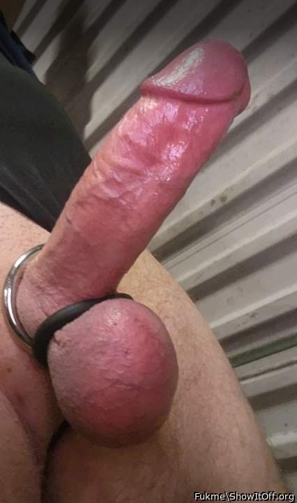 Horny asf