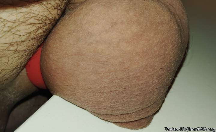 Photo of a cock from Tnelson88