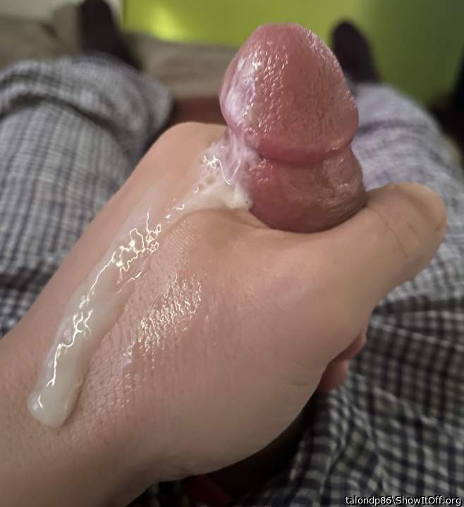 Photo of a cock from talondp86