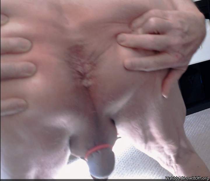 Photo of a member from Walddo