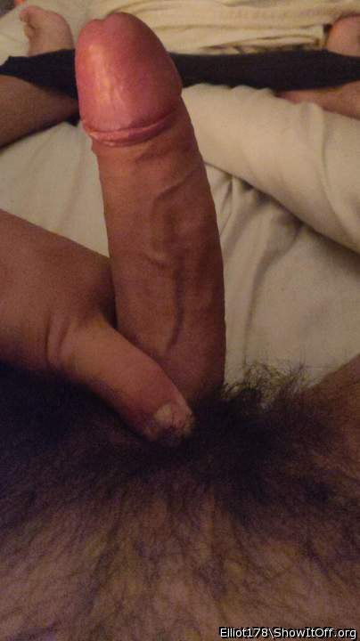 Young stud, hot cock... would love to suck you off 