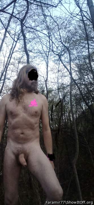 Photo of a snake from Faramir77