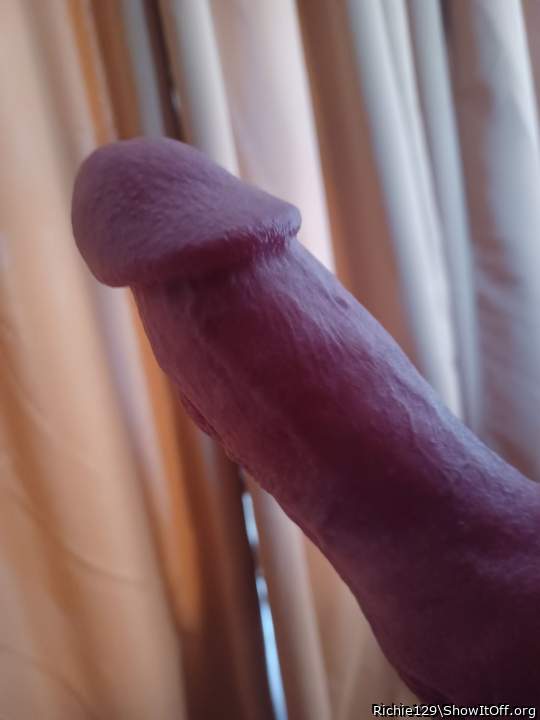 Photo of a pocket rocket from Richie129
