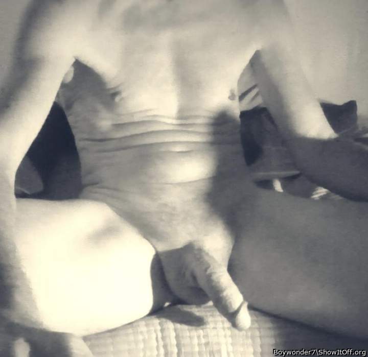 Photo of a middle leg from Boywonder7