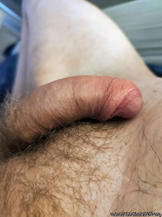 Photo of a bat from mans1483