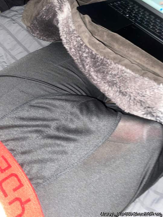 Photo of a thing from Always_Hard69