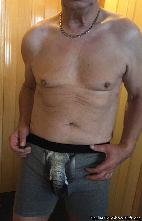 Photo of a equipment from Cruiser66