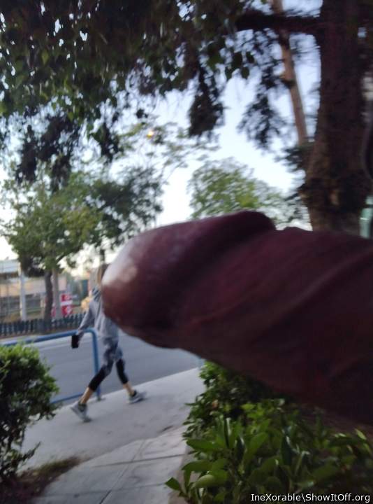 Photo of a short leg from IneXorable