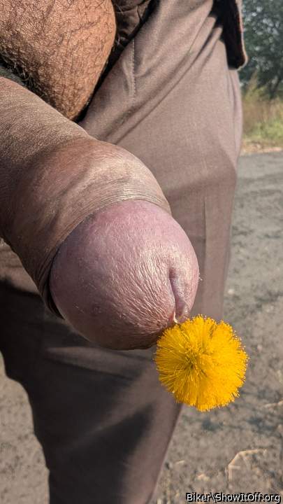 Photo of a power tool from Biker
