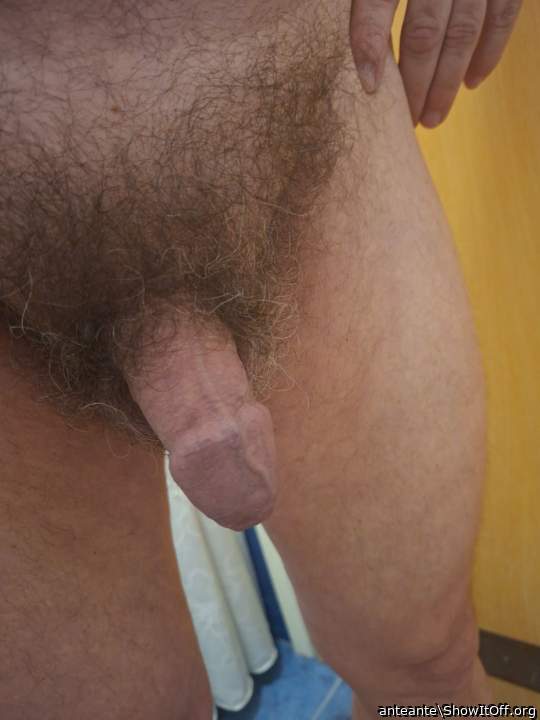 Photo of a dong from anteante