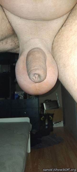 Testicles Photo from sanok