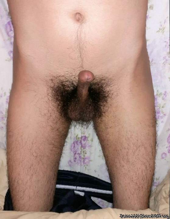 Morning Wood lol