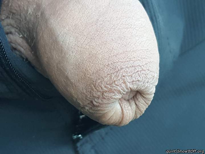 Photo of a third leg from quint
