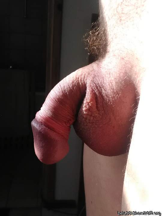Beautiful uncircumcised penis and large balls  