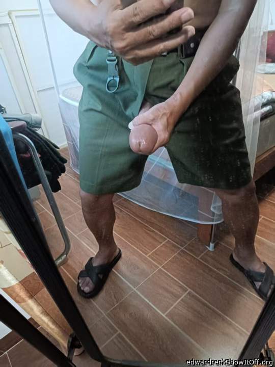 Photo of a cavalier from edwardren