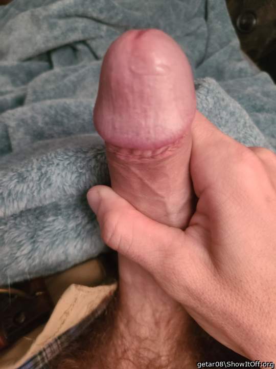 Photo of a python from getar08