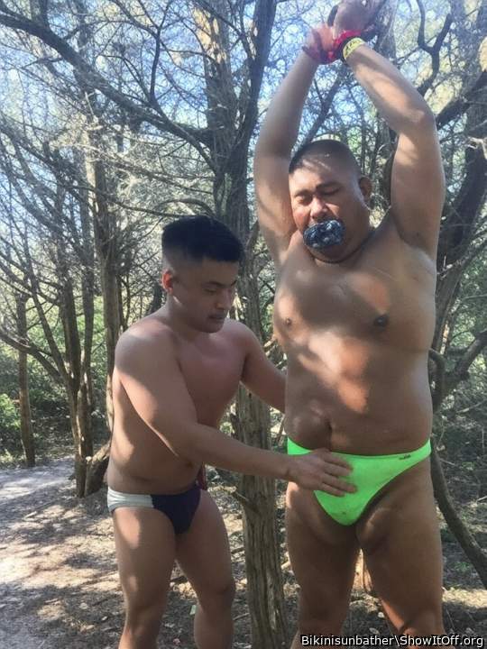 tied up in the woods