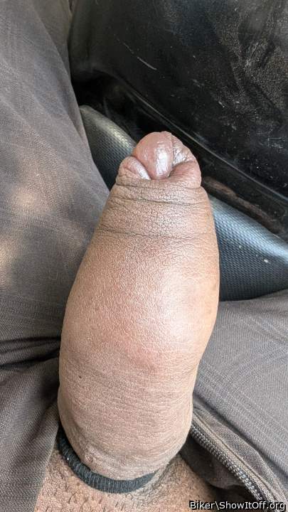 Photo of a lizard from Biker