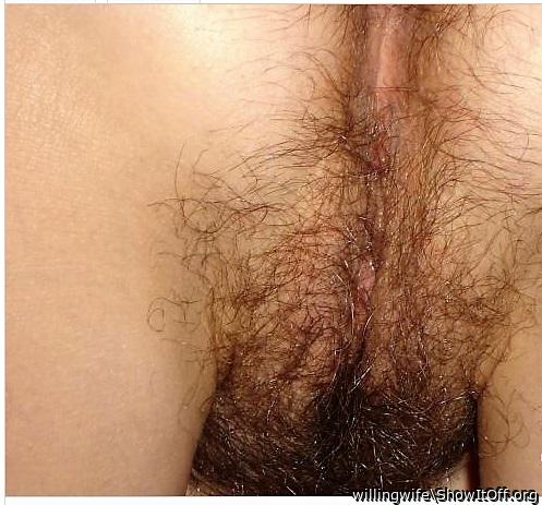 My hairy pussy