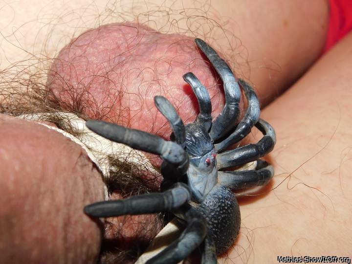 Spider on my tied balls