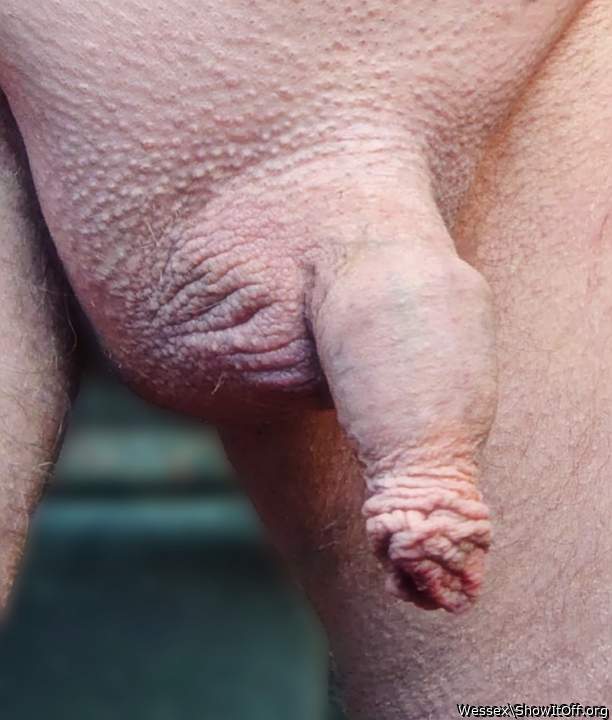 Great Photo - Awesome cock!   