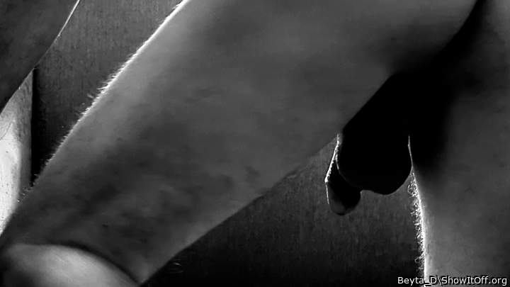 Photo of a penile from Beyta_D