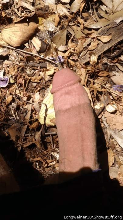 Photo of a dick from Longweiner10