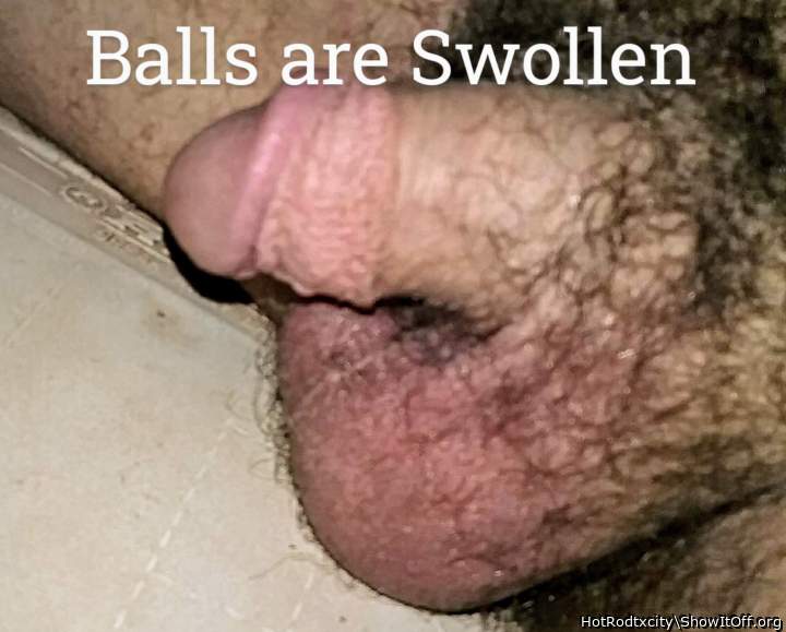 Everybody see how swollen my balls are really need this dick sucked