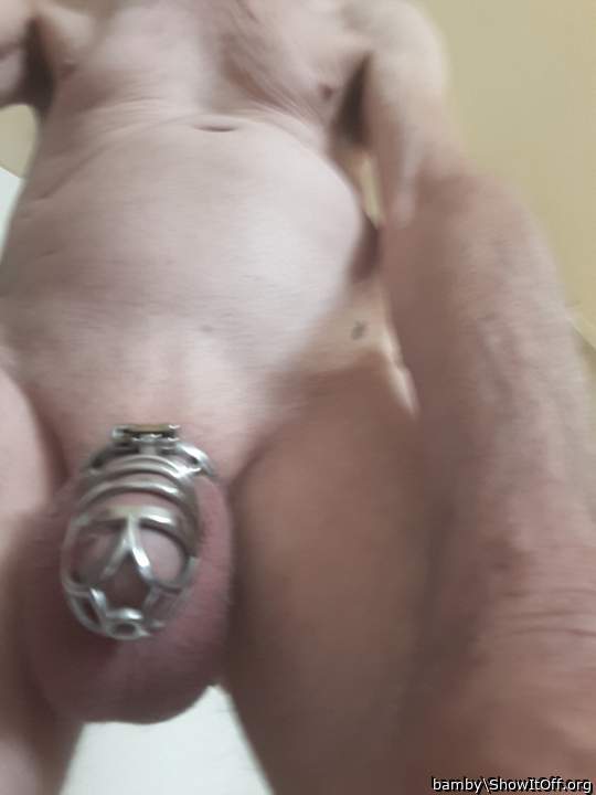 Photo of a wiener from bamby