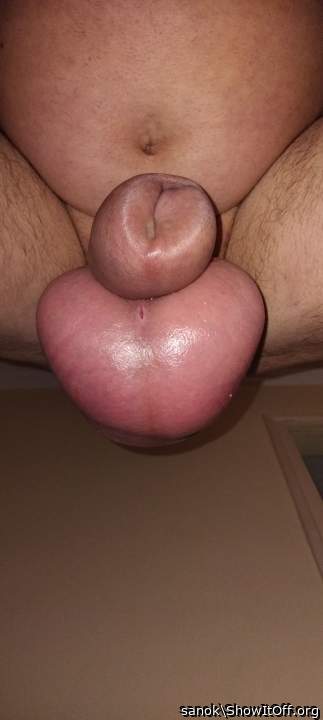 Testicles Photo from sanok