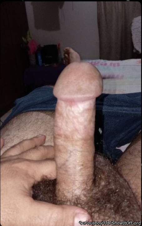 Photo of a hot dog from Curiousboy028