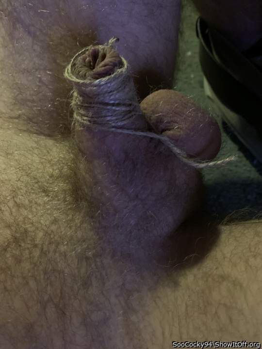 My little tied up cock