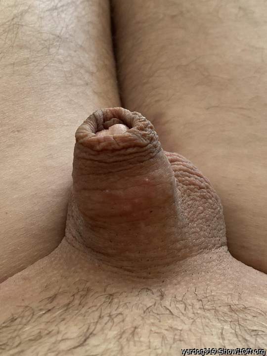 Nice to feel growth your cock in my mouth  